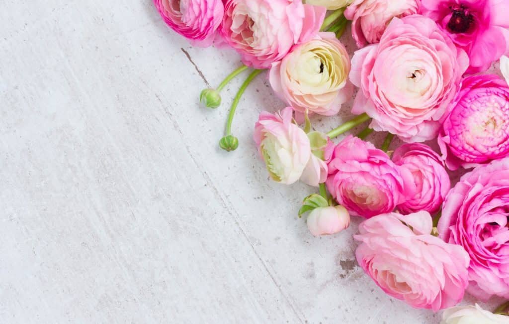 Kako urediti ranunculus