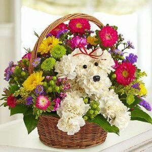 Dog in a Basket 1