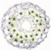 Vijencic HR 1